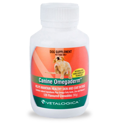Canine Omegaderm Pack