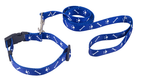 Toyrapeutics® Play N Learn For Pets - Collar and Lead (Blue)